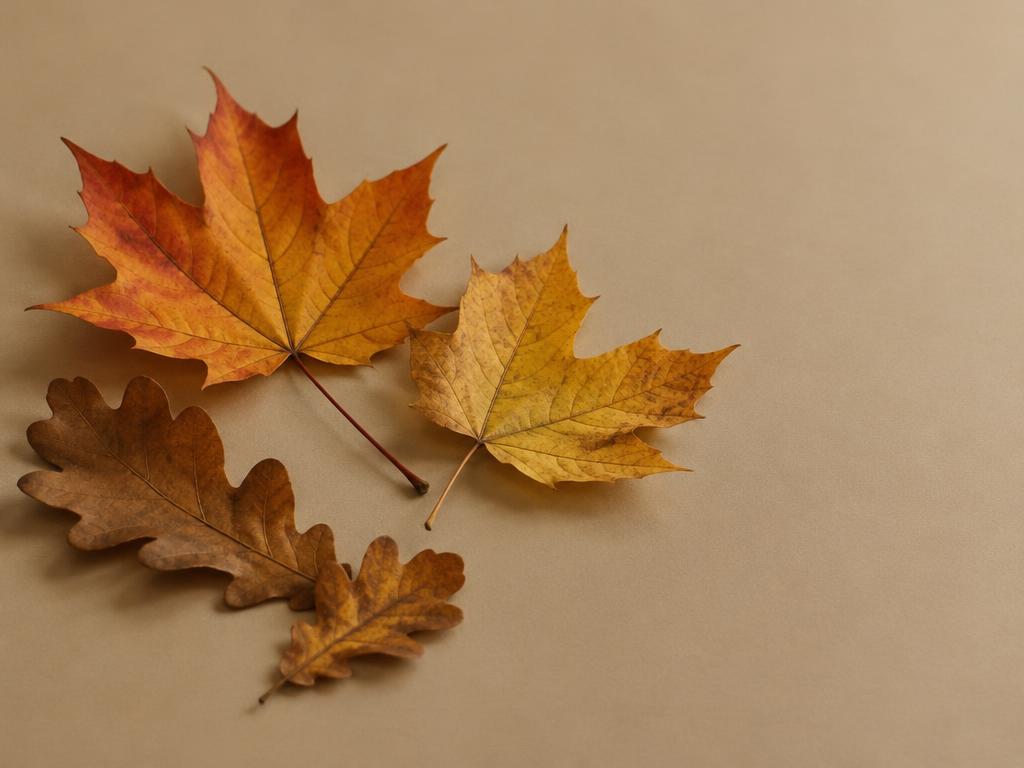 Fallen autumn leaves in warm rust and amber tones