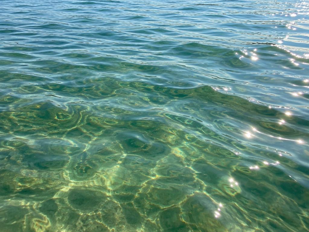 Gentle ripples across clear, sunlit summer water